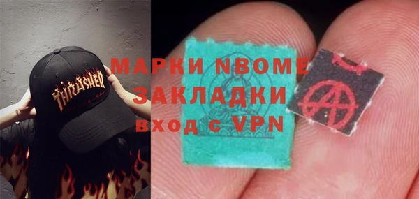 индика Нестеровская