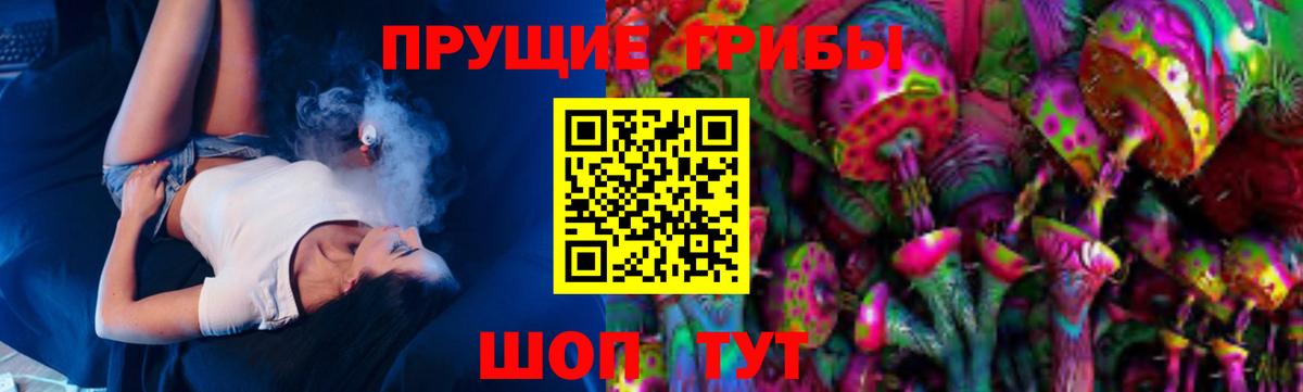 Псилоцибиновые грибы Magic Shrooms  Вход с VPN  Норильск 