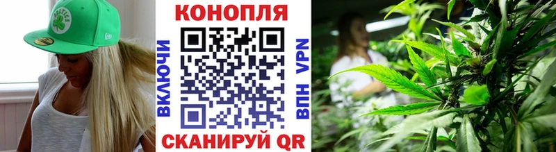 магазин продажи наркотиков  Норильск  Конопля гибрид 